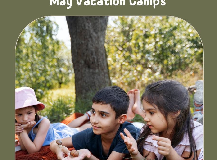 May Holiday Camps 2026