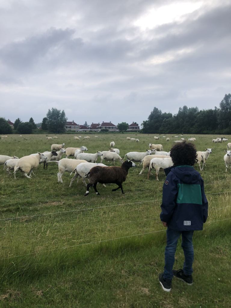 Geitenboerderij Amsterdamse Bos