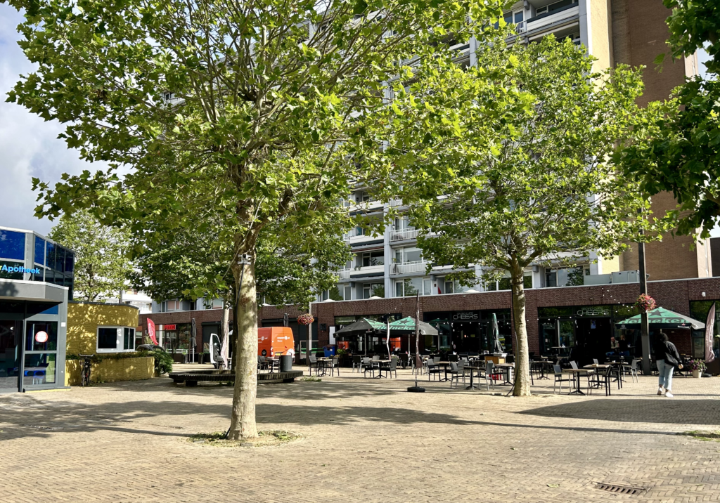 Winkelcentrum Diemerplein