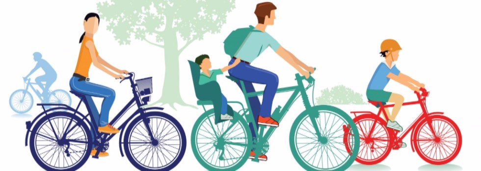 From Crazy to Calm(ish): Adventures in Family Biking