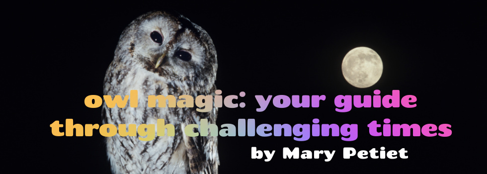 Owl Magic: Your Guide Through Challenging Times
