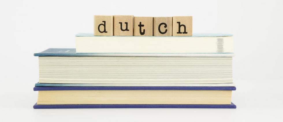 The Mamas Recommend: Dutch Lessons